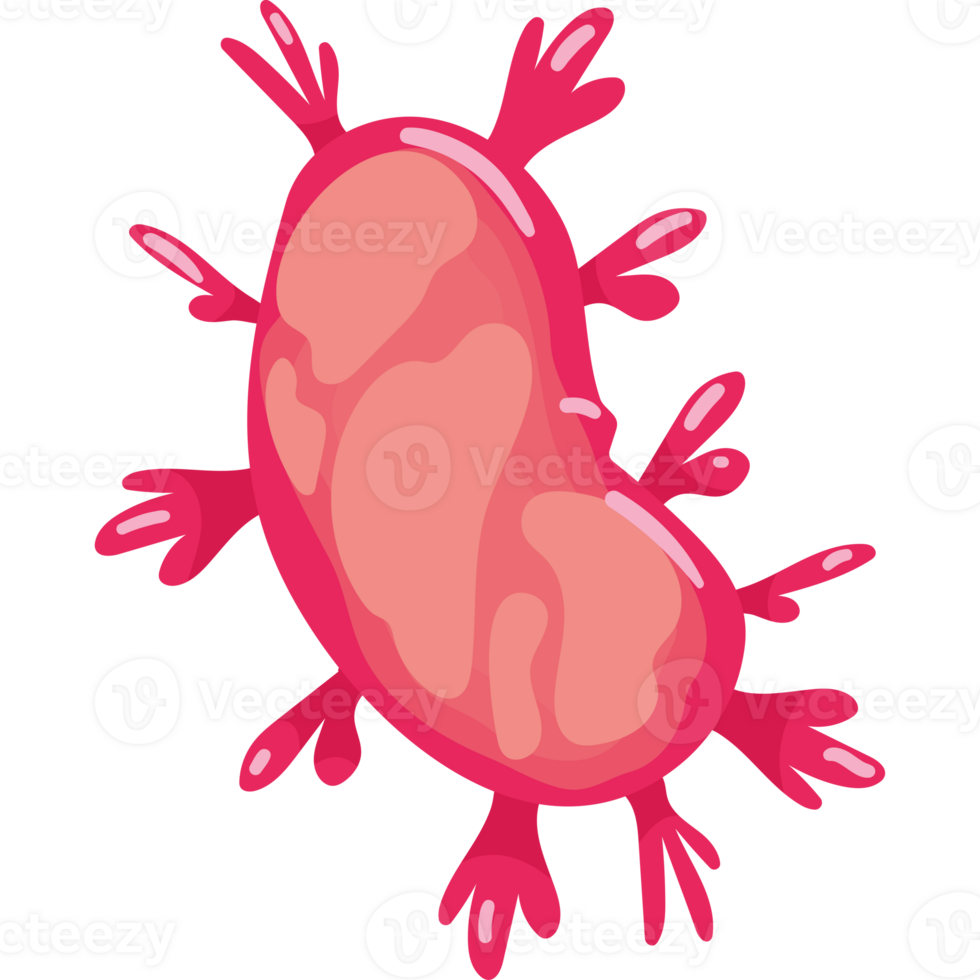 virus nipah epidemic isolated illustration png
