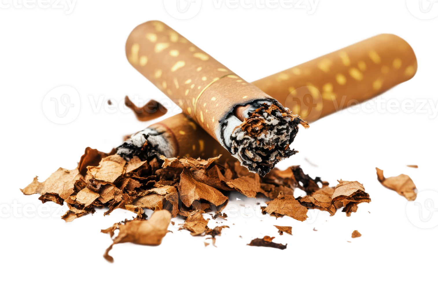 Cigars with shredded tobacco on a white background png