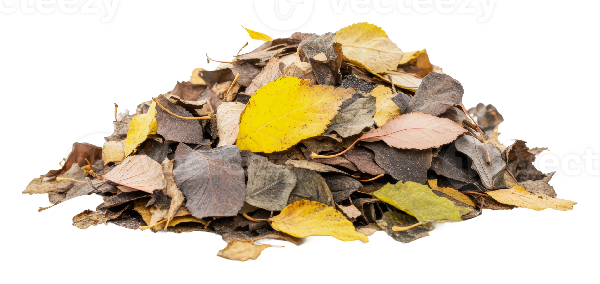 Pile of autumn leaves collected in a garden png