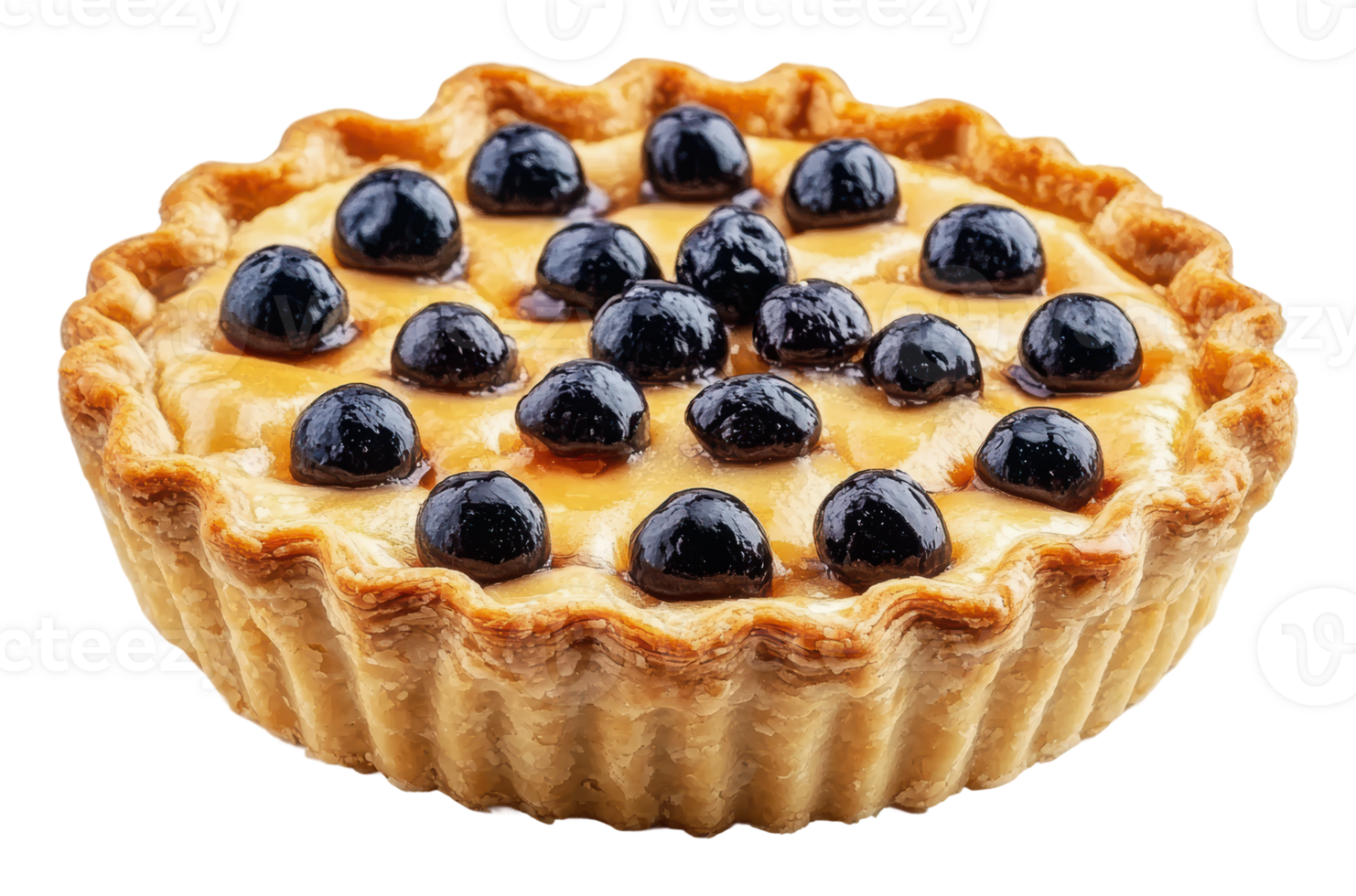 Freshly baked blueberry tart from a local bakery png