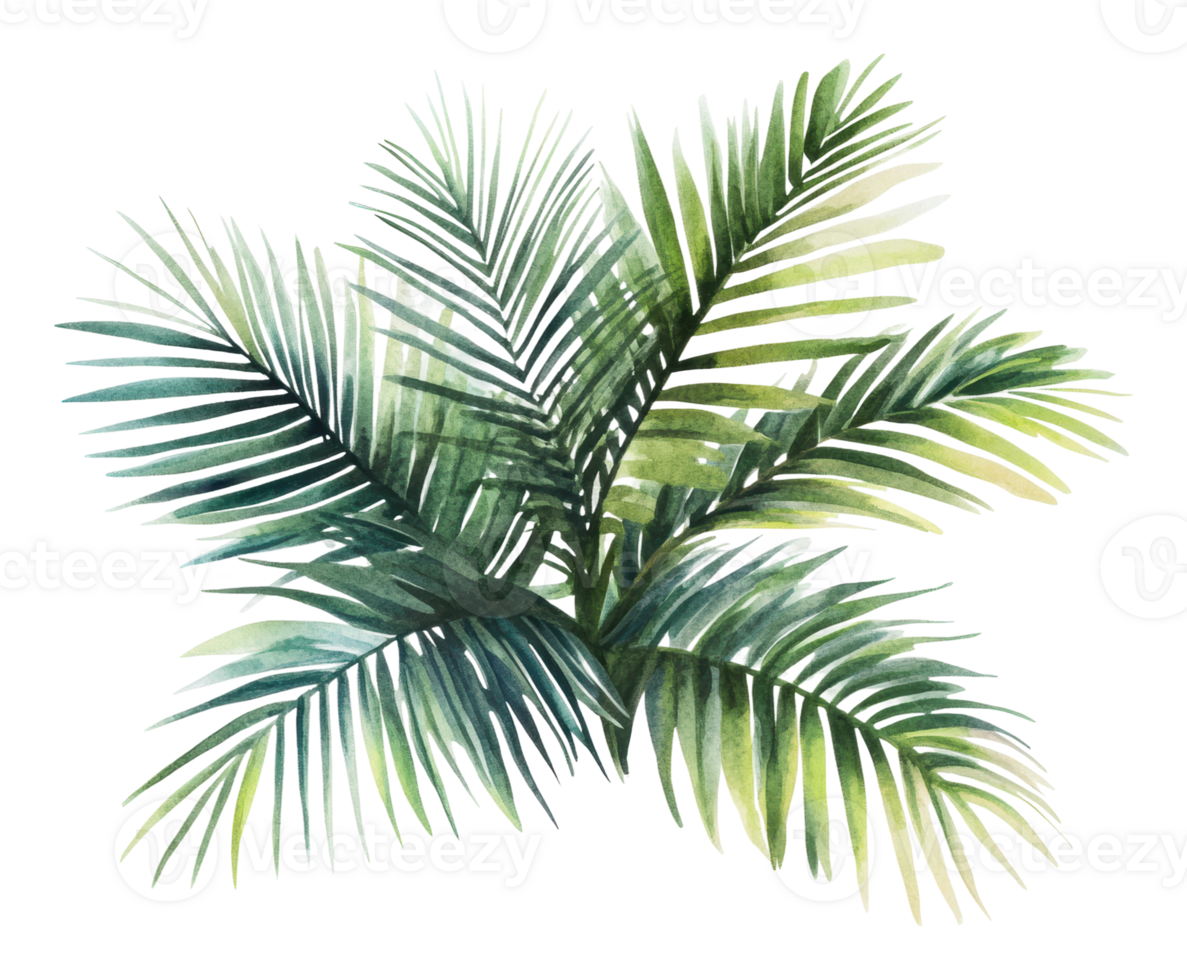 Green palm leaves creating a lush tropical vibe png