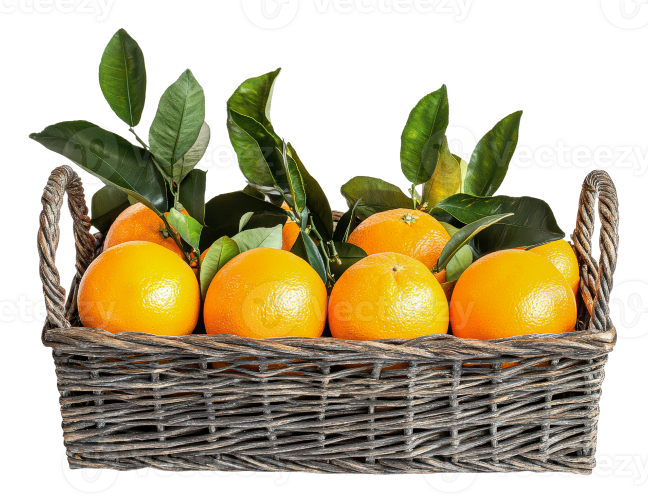 Fresh oranges in a wicker basket with green leaves png