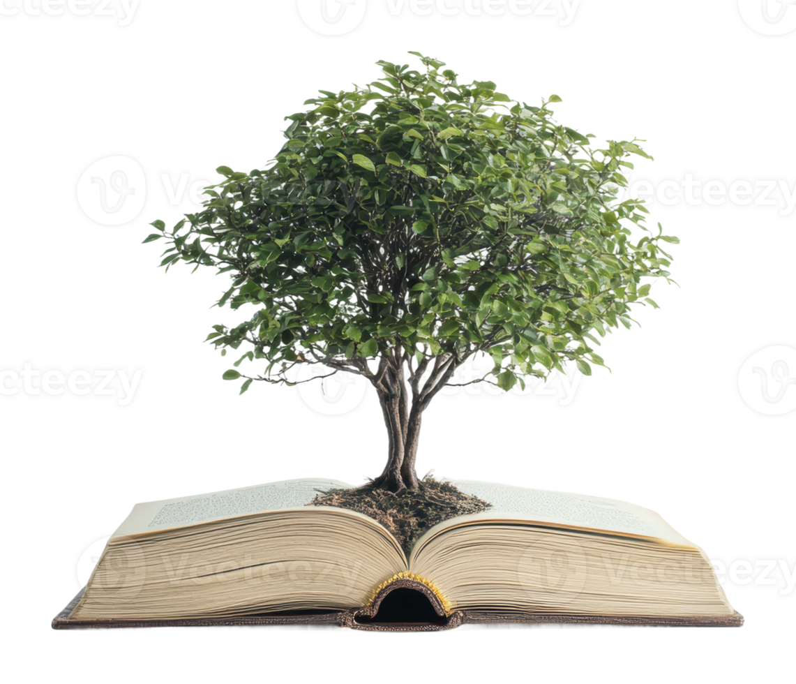 Tree growing from an open book symbolizing growth png