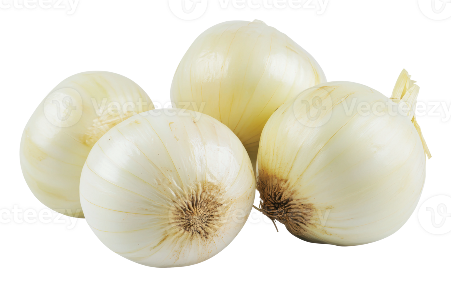 Fresh white onions grouped on a clean surface png