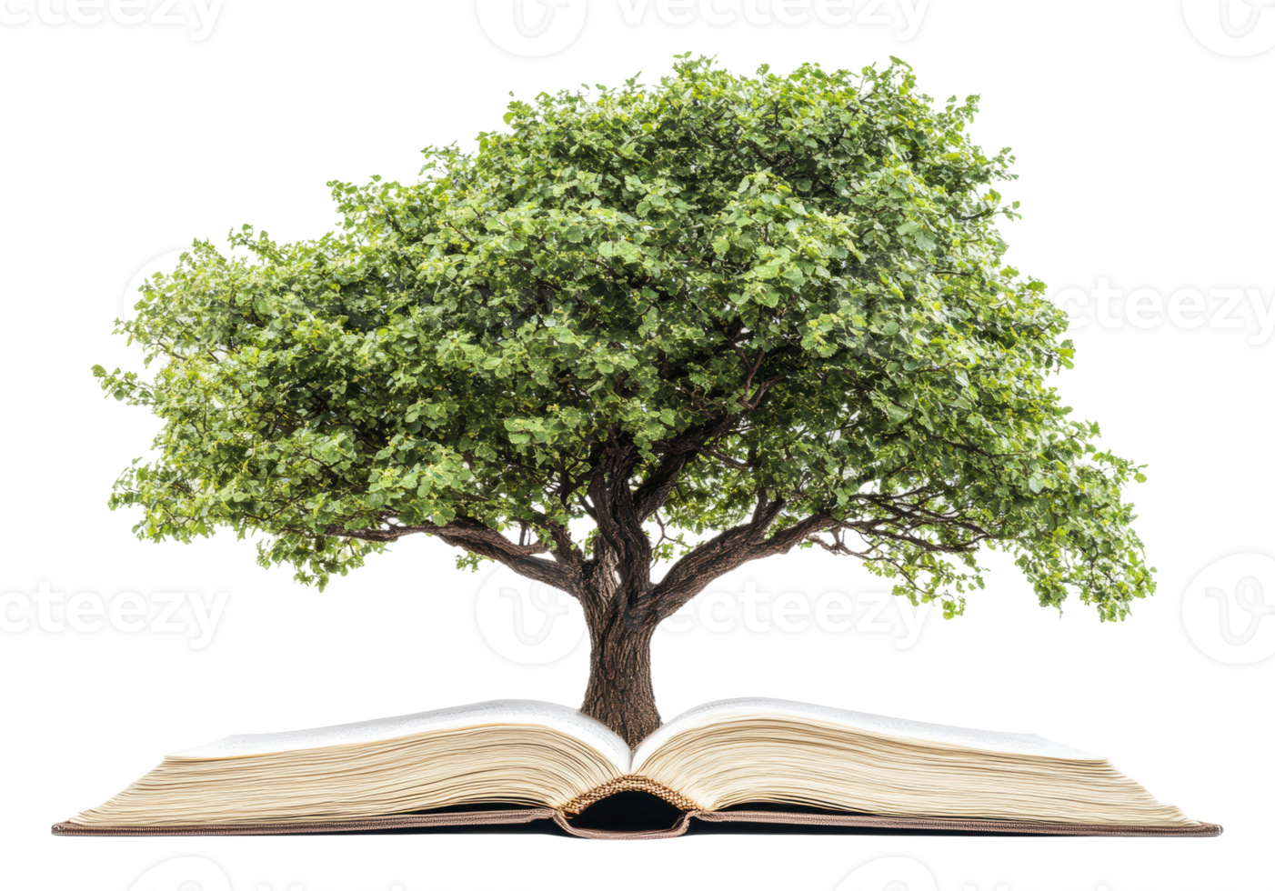 Book tree symbolizes knowledge and nature png