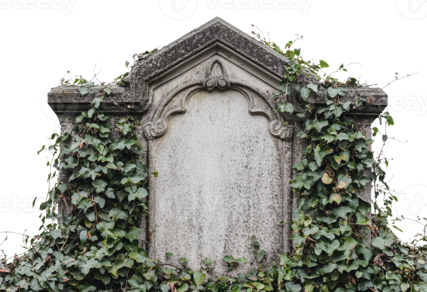 Old gravestone covered in ivy at a cemetery png