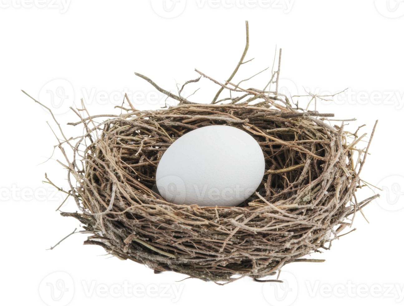 Nest with white egg in twigs png