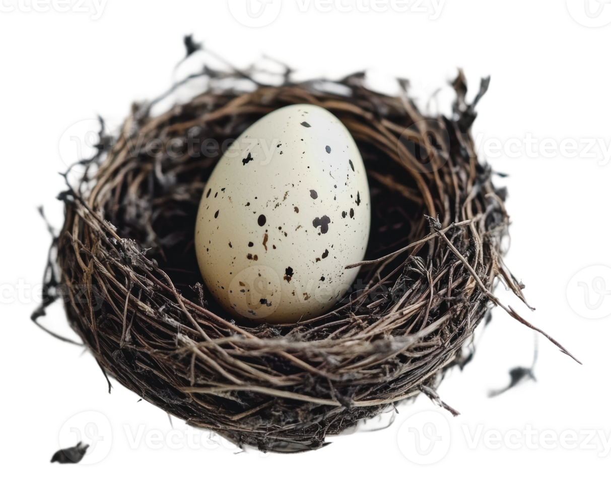 Speckled egg in a twig nest png