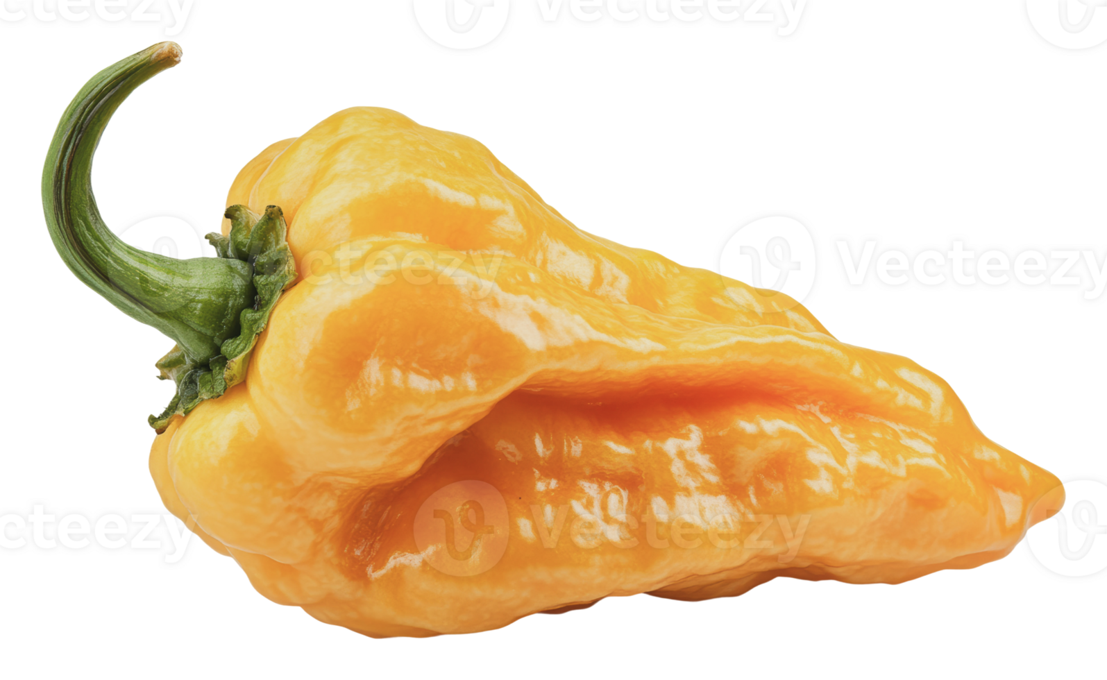Hot yellow pepper with a unique shape on display png
