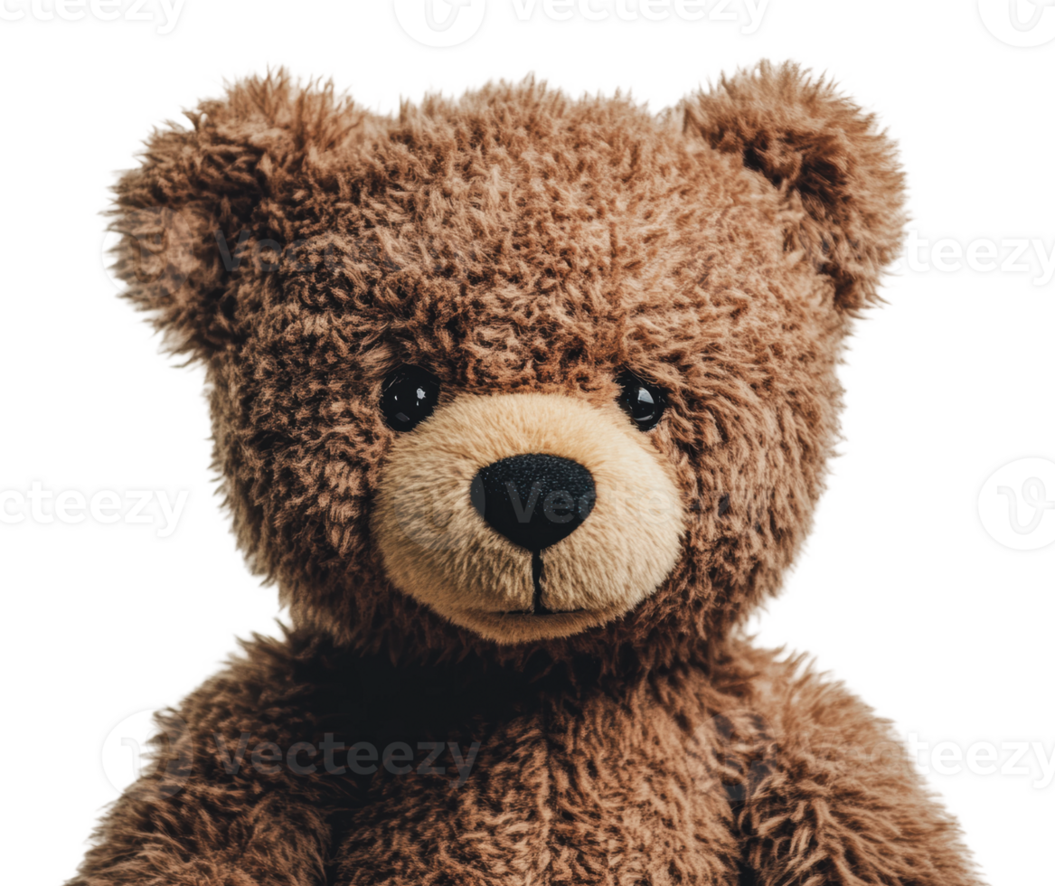 Classic teddy bear with soft fur and friendly face png