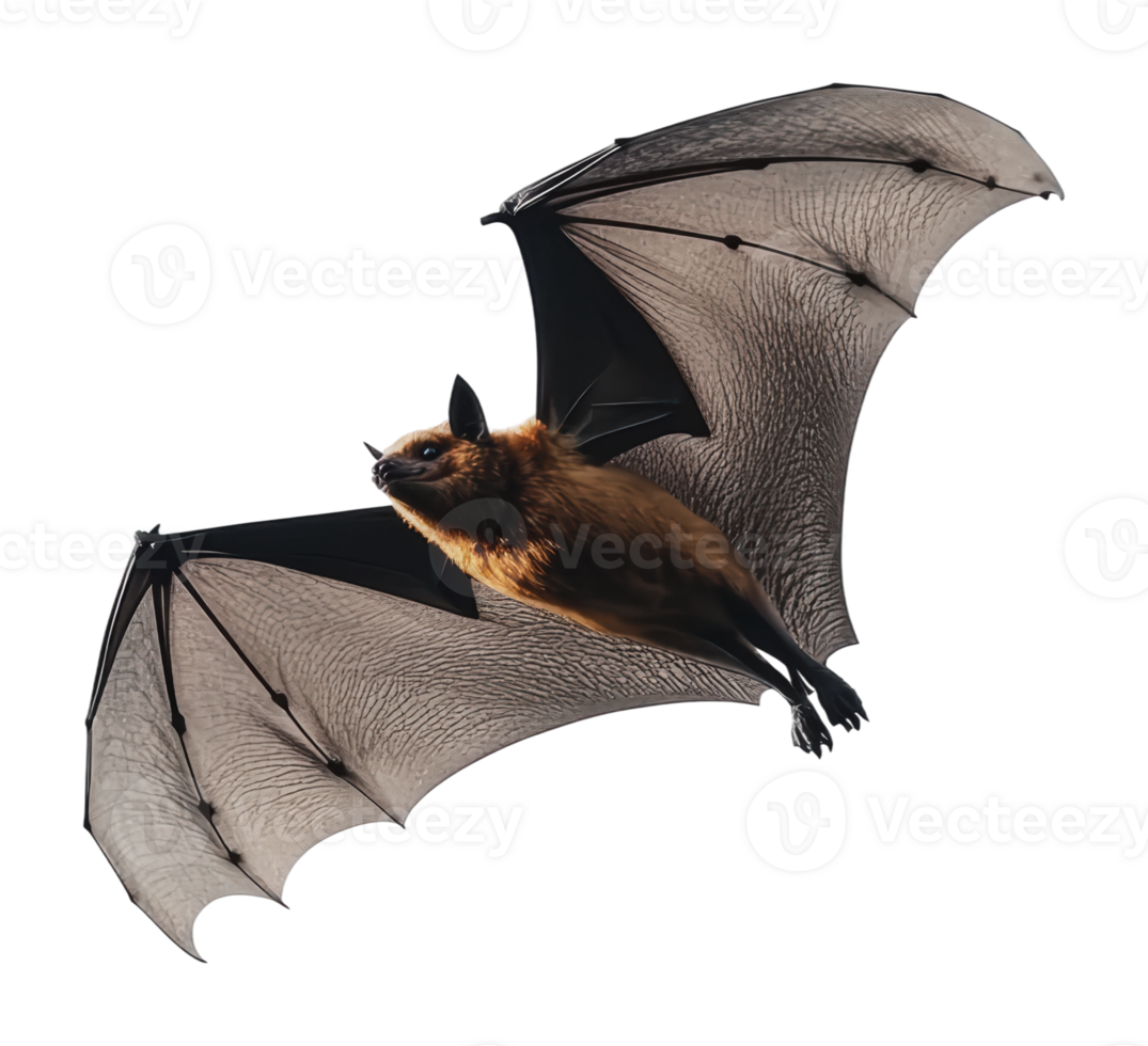 Bat in flight showcasing its wings and agility png