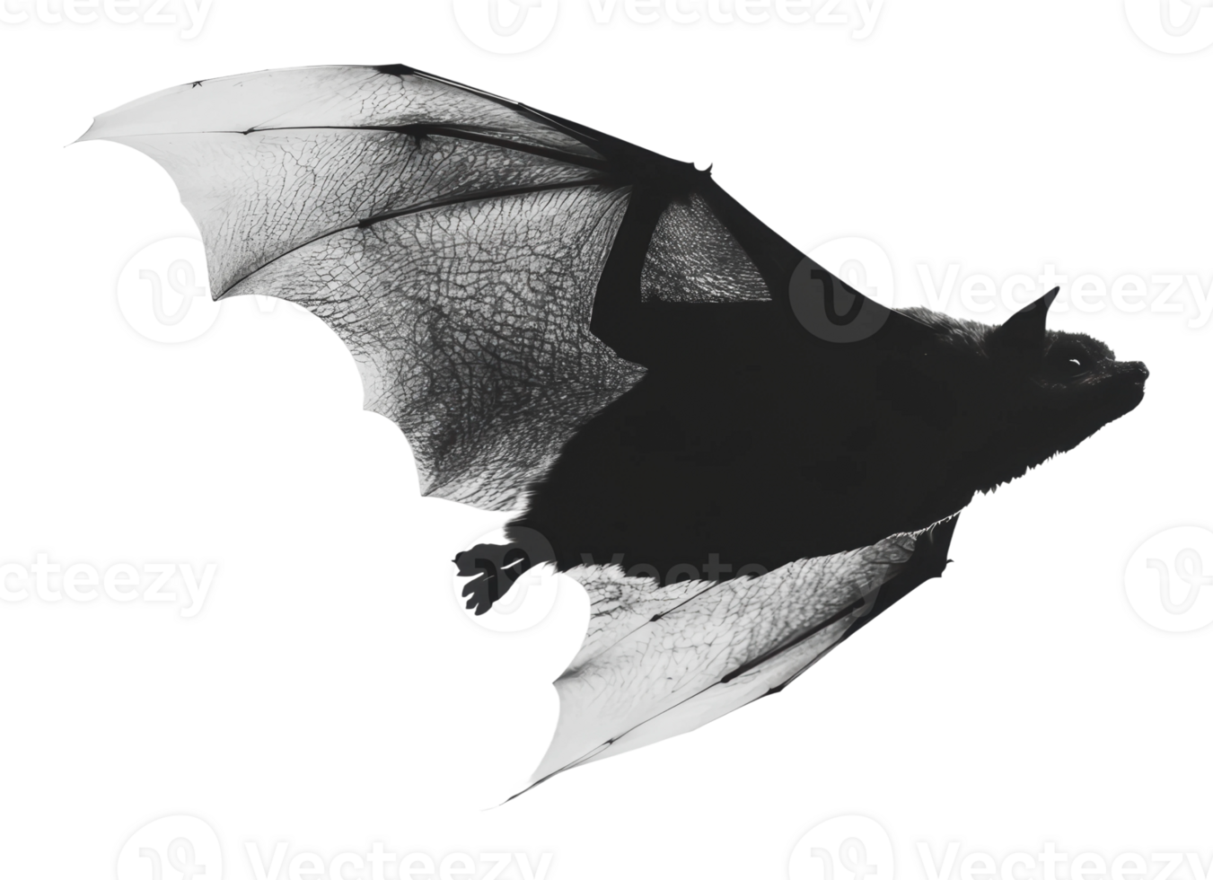 Bats in flight showcasing their wingspan png