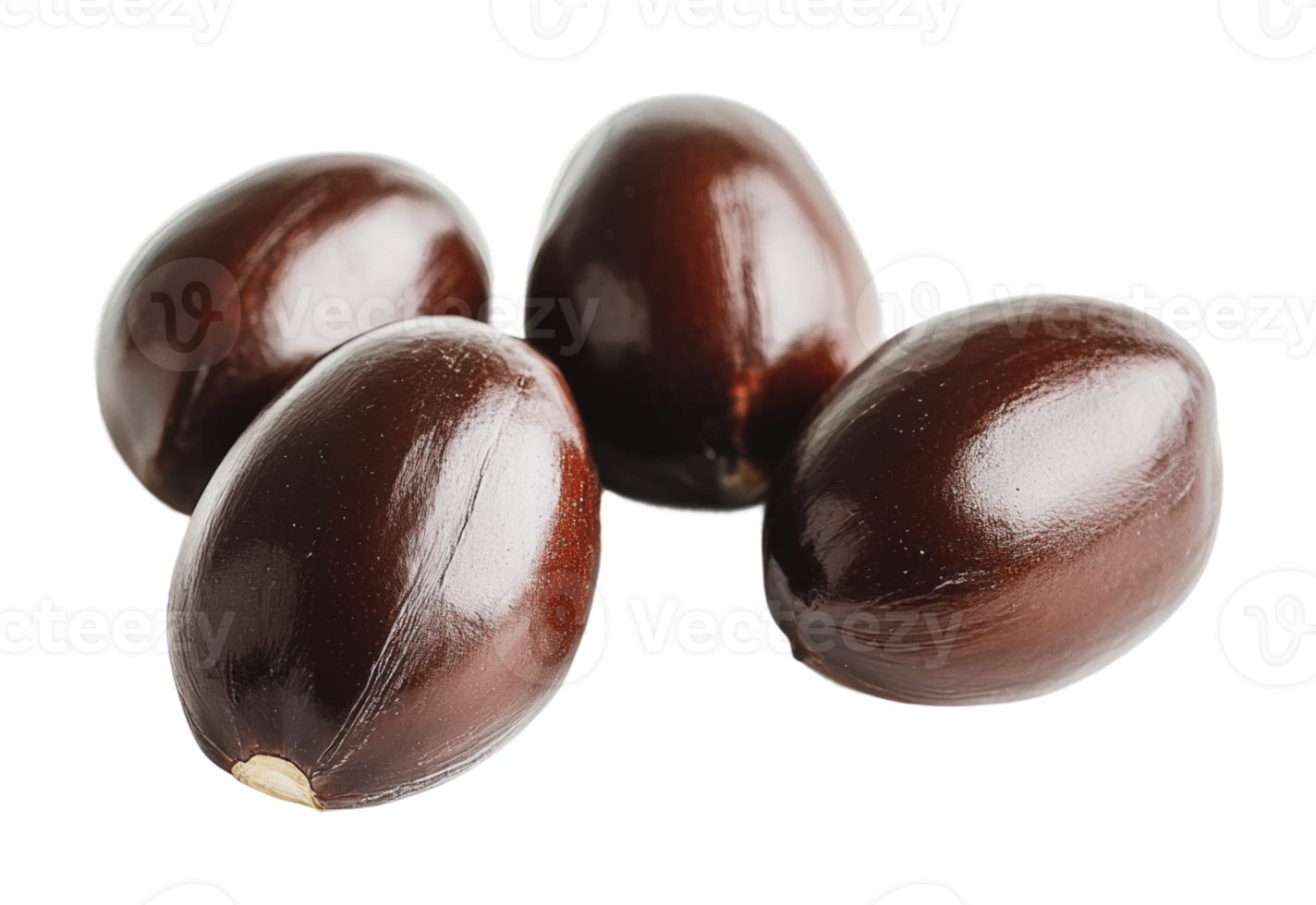 Dark brown nuts from a tropical plant on display png