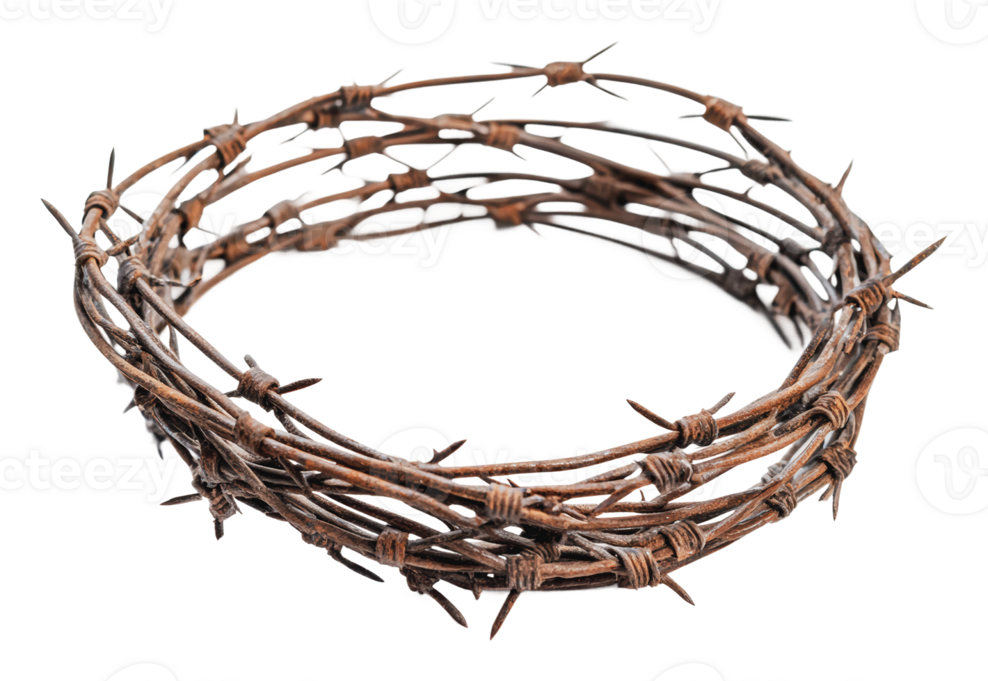 Unique handmade crown made of barbed wire png