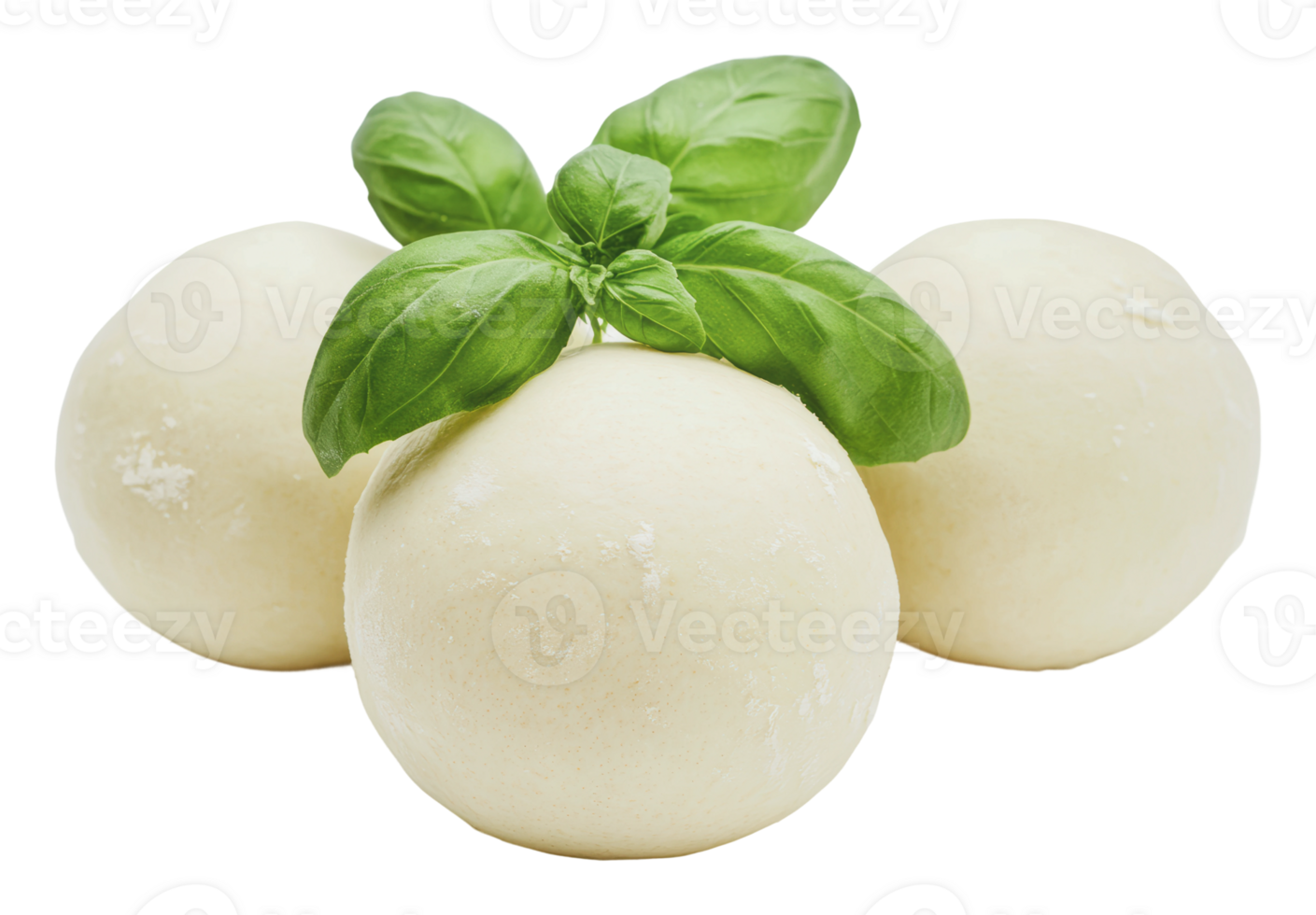 Fresh mozzarella balls with basil leaves on top png