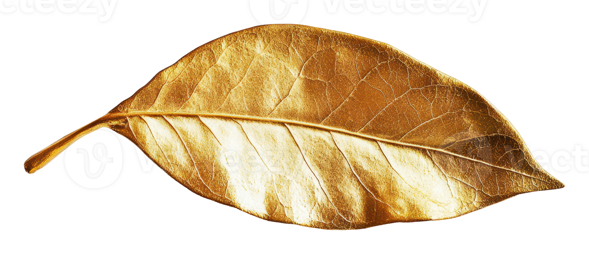 Gold leaf enhances nature's elegance png