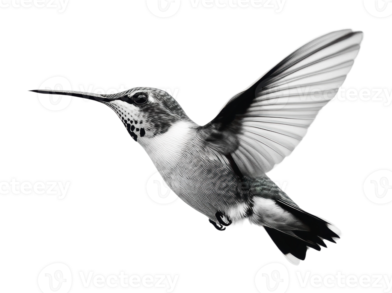 Hummingbird in flight showcasing delicate feathers png
