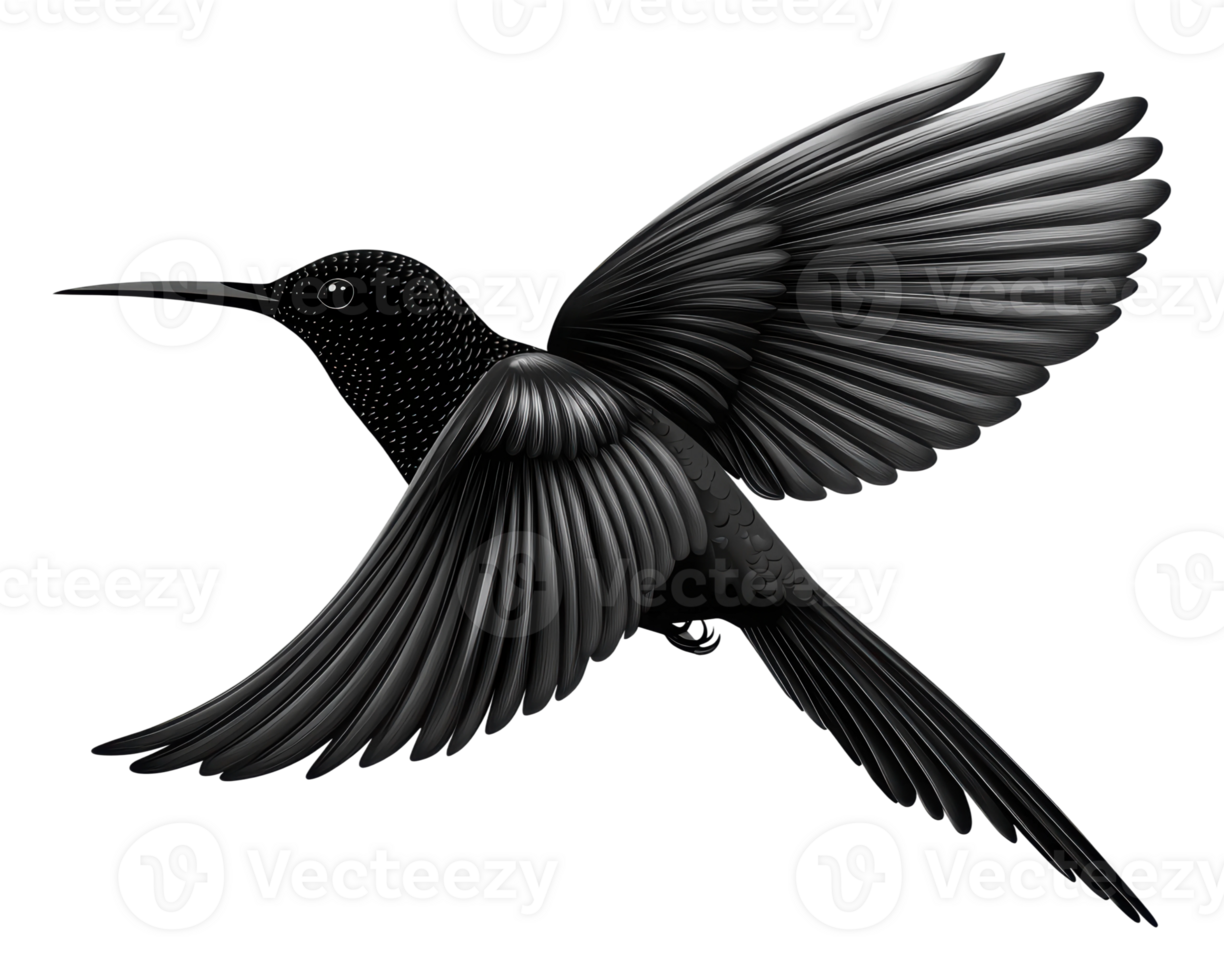 Elegant black hummingbird in mid-flight display png