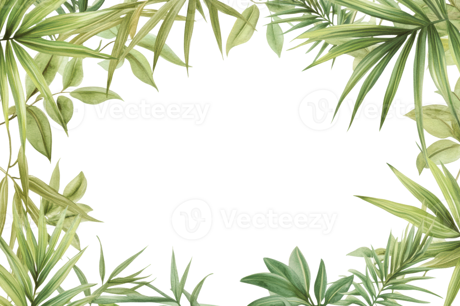 Fresh green foliage creating a natural frame png