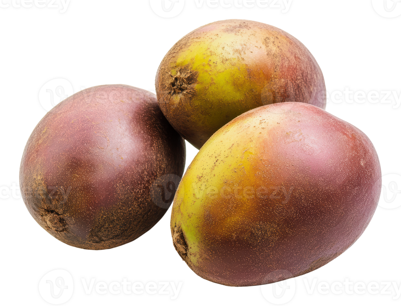 Colorful tropical fruits on a white background png