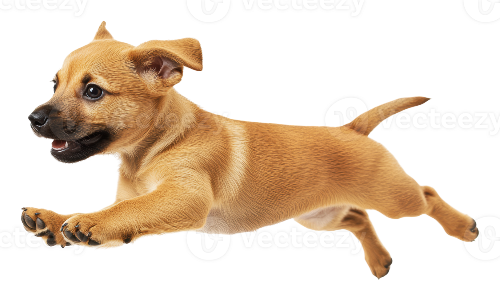 Happy puppy jumping in playful pose png