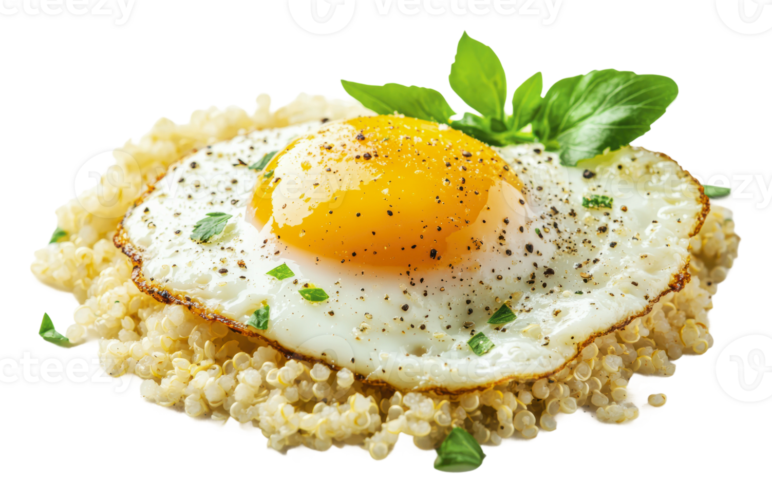 Delicious fried egg served on quinoa with herbs png