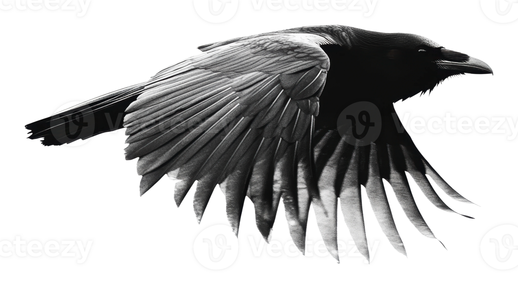 Raven soaring through the sky in black and white png