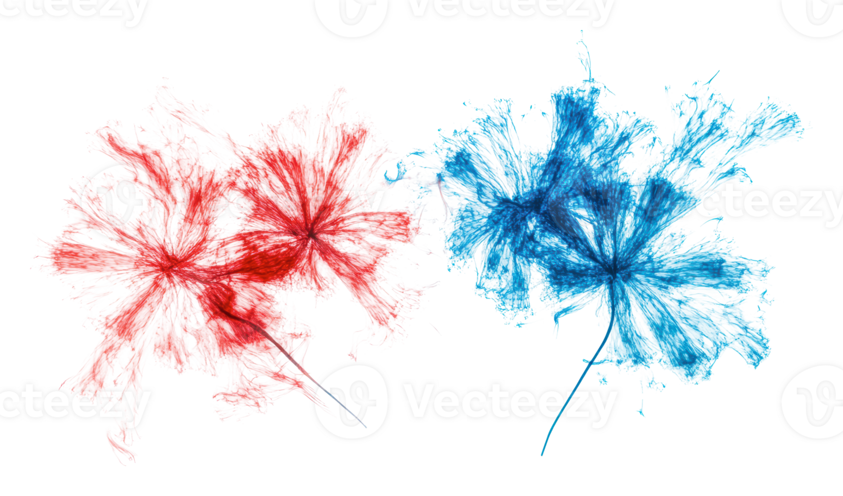 Red and blue abstract flowers on white background png