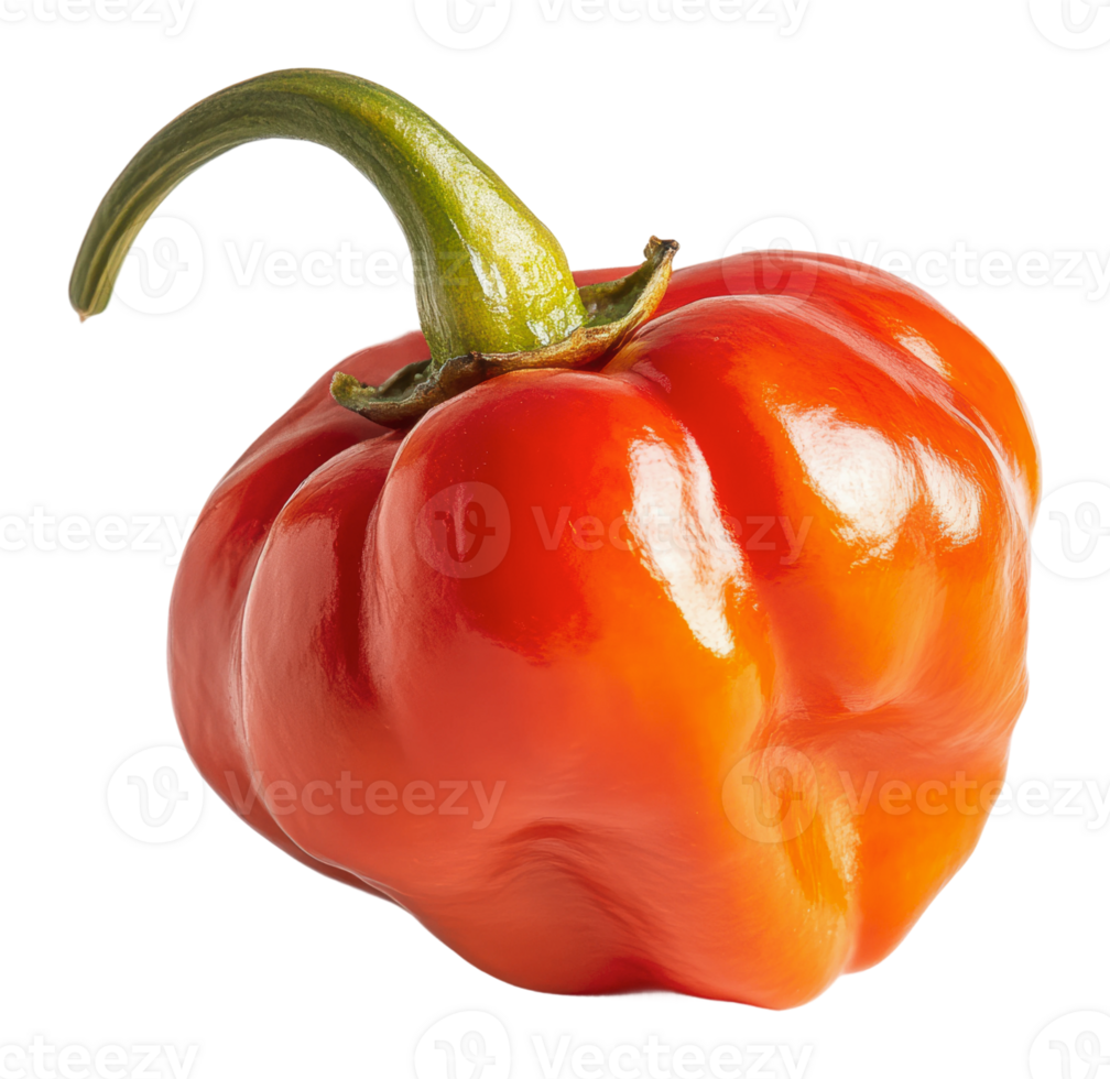 Vibrant red bell pepper with glossy surface png