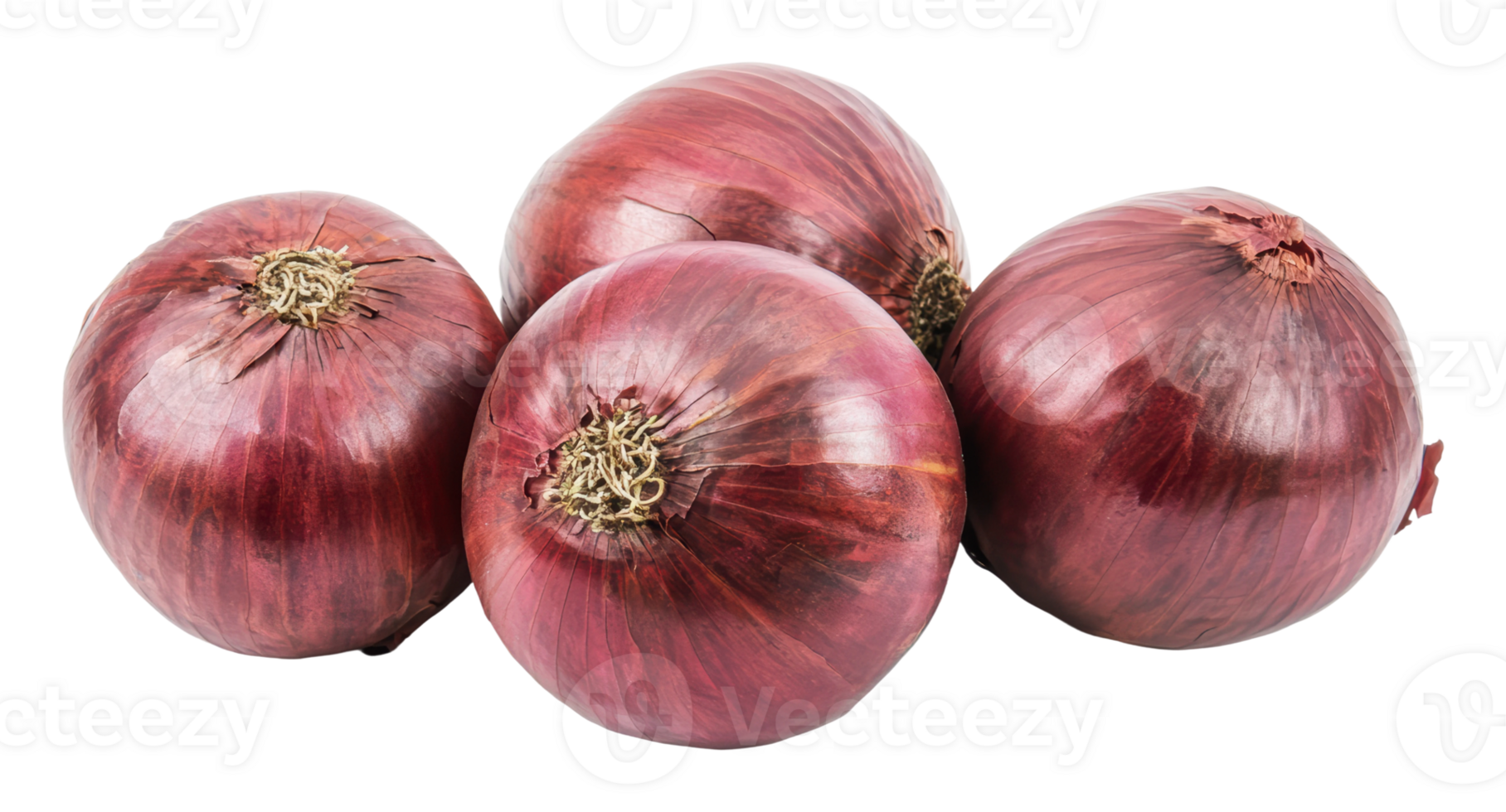 Fresh red onions ready for cooking and salads png