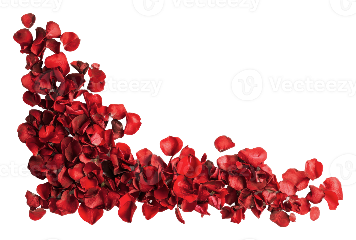 Red rose petals create a romantic decor element png