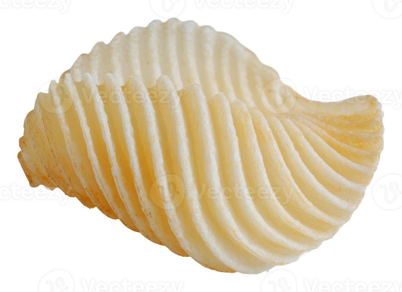 Unique shell showcasing intricate natural patterns png