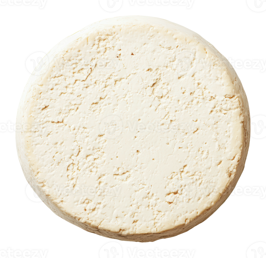 Soft fresh cheese displayed on a white background png