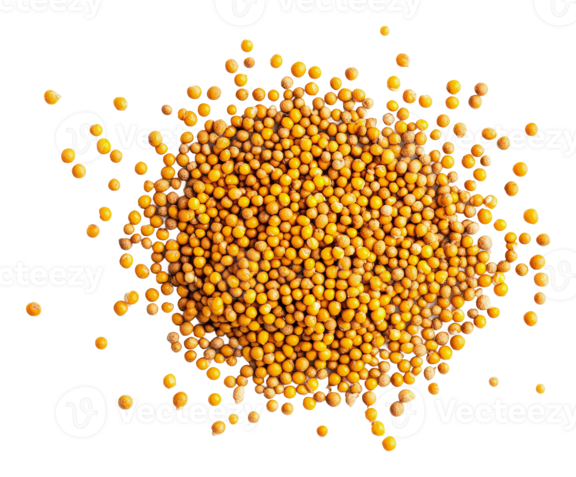 Mustard seeds scattered on a clean surface png