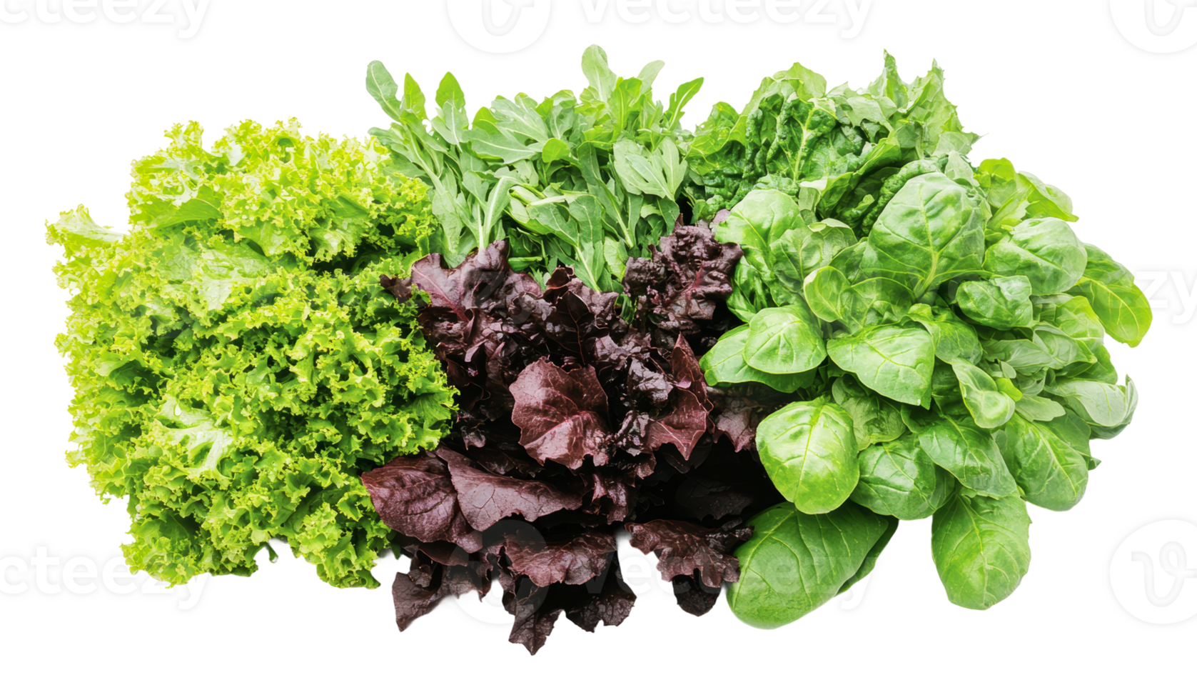 Fresh assortment of leafy greens for healthy meals png