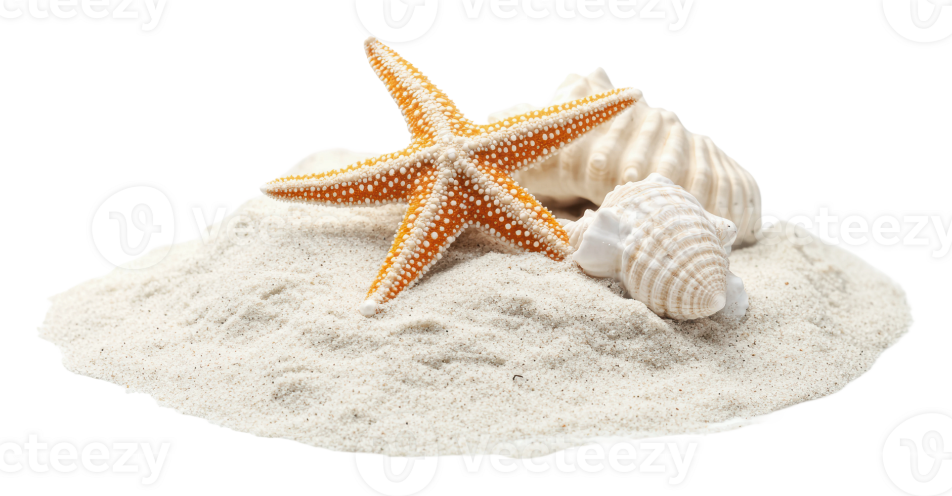 Colorful starfish and seashells on sandy beach png