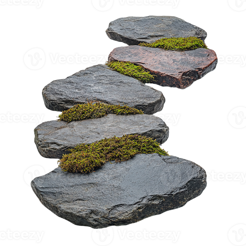Organic Pathway of Flat Stones and Verdant Moss Isolated on Transparent Background png