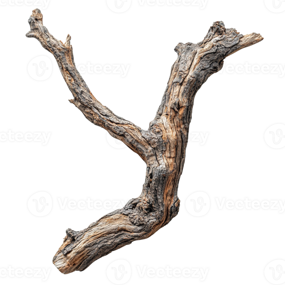Aged Driftwood with Distinctive Curves and Weathered Surface png