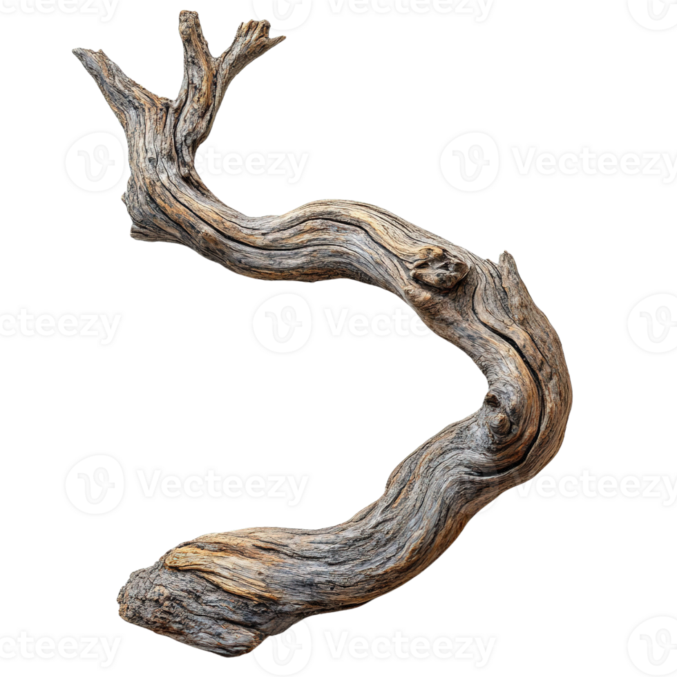 Decorative Driftwood Stick with Organic Patterns and Forms png