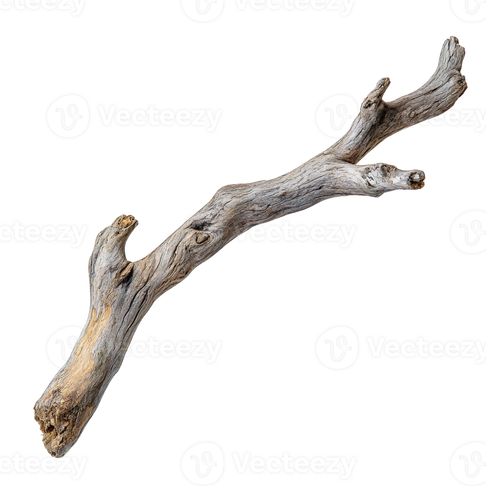 Driftwood Branch with Natural Texture and Organic Form png