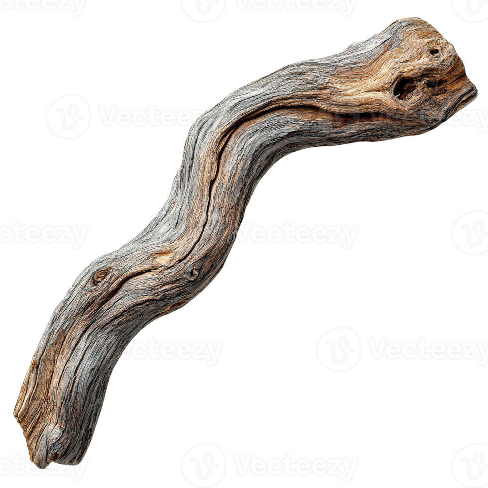 Weathered Wooden Branch with Rustic and Textured Details png