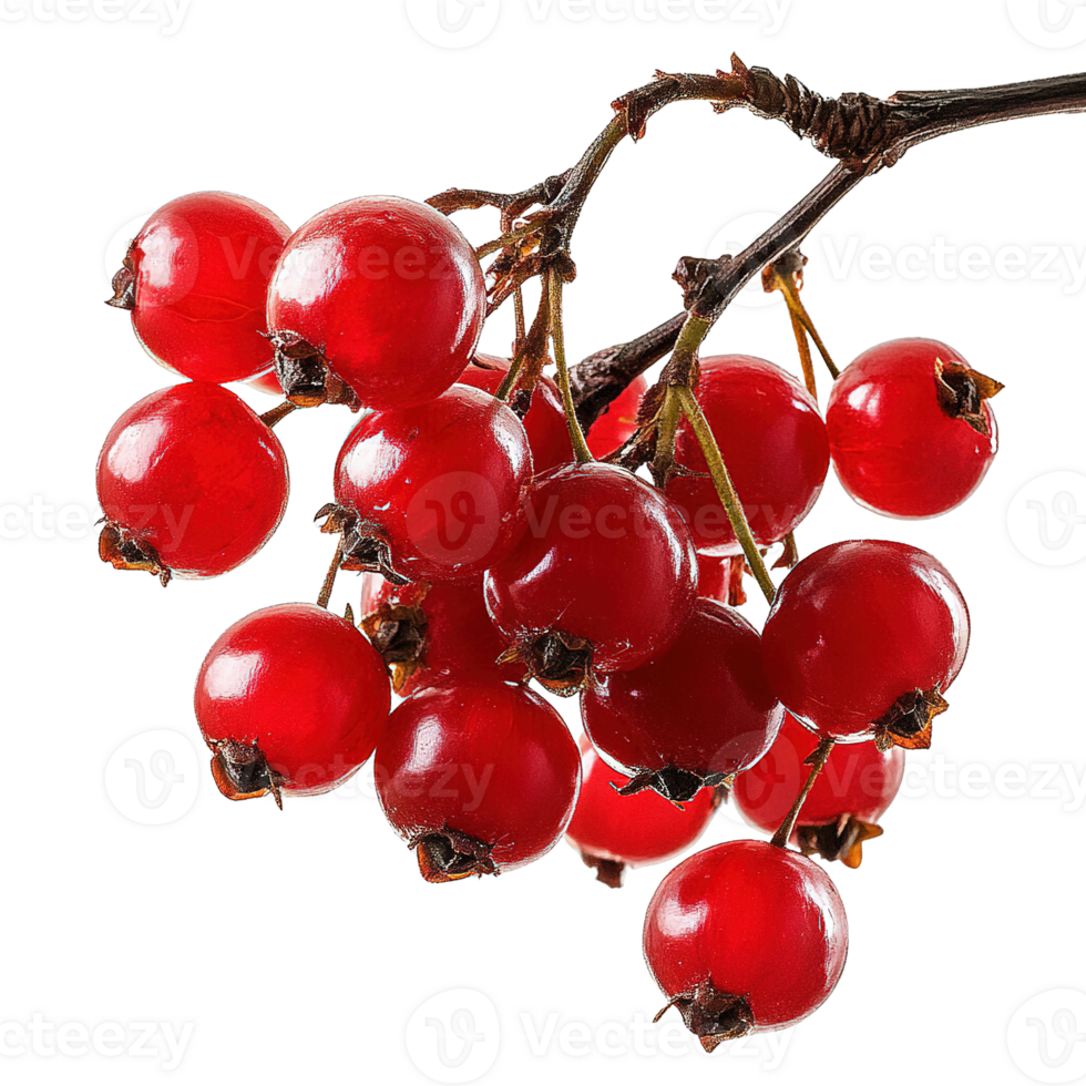 Glossy Red Berries Cluster with Dark Accents on Transparent Background png