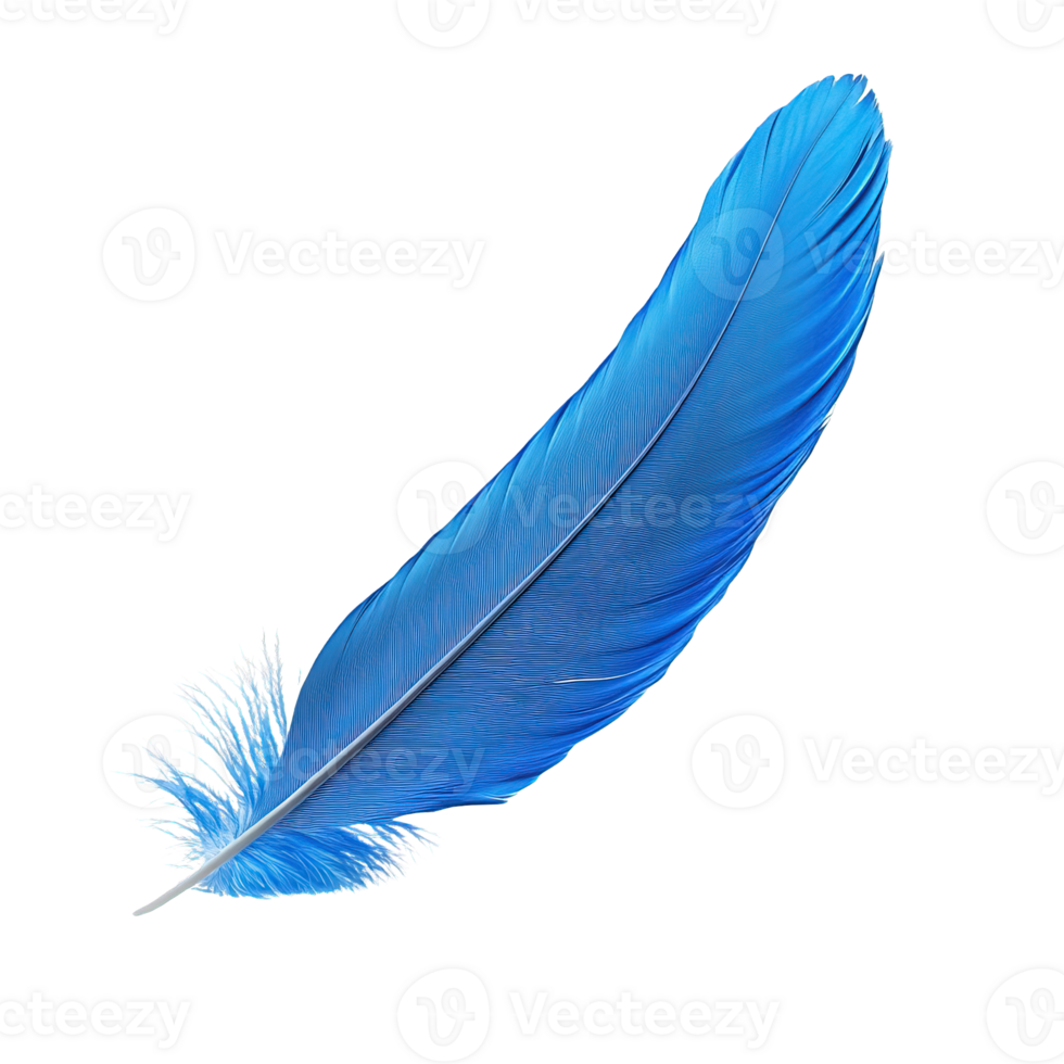Graceful Blue Feather with Detailed Texture and Color Transition png