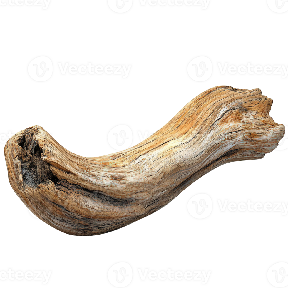 Natural Driftwood with Weathered Texture and Unique Form on Transparent Background png