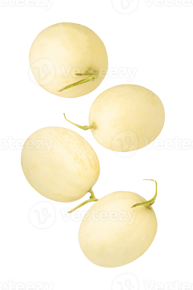 Falling Cantaloupe cutout, full depth of field png