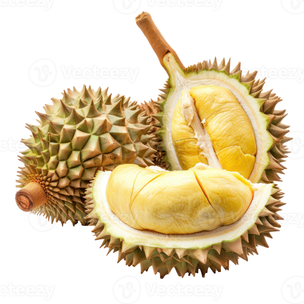 durian fruit whole and a half, clipping path isolate on transparency background png