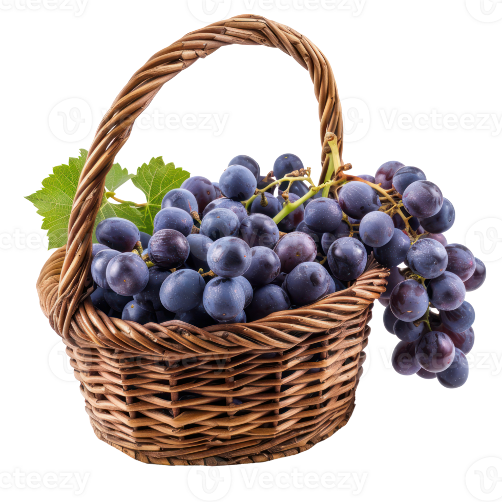 Blue grapes in a basket isolate on transparency background png