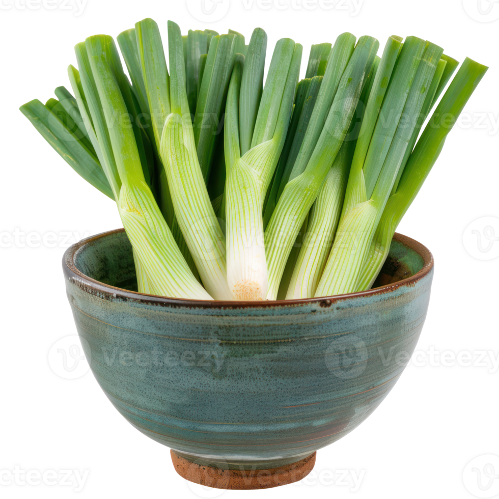 green onions in a bowl on a transparent background png
