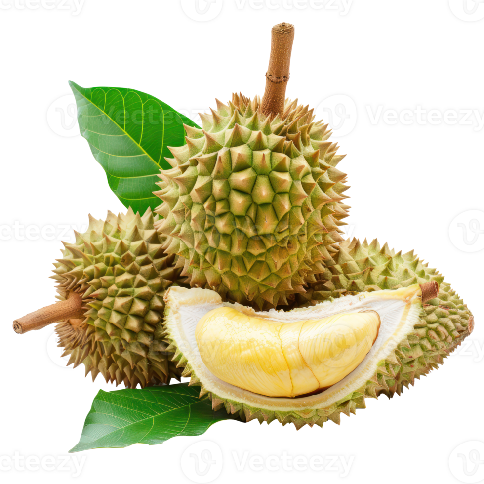 Fresh durian fruit with green leaves, clipping path isolate on transparency background png