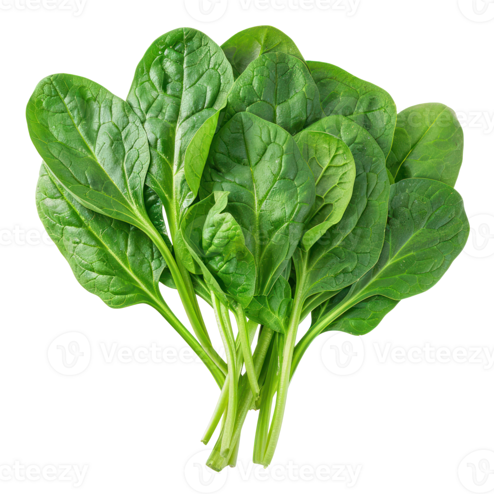 Spinach, clipping path isolate on transparency background png